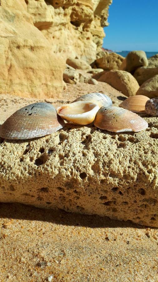 Olhos Do Mar Albufeiraアパートメント エクステリア 写真